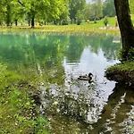 Magnolia * Sarajevo